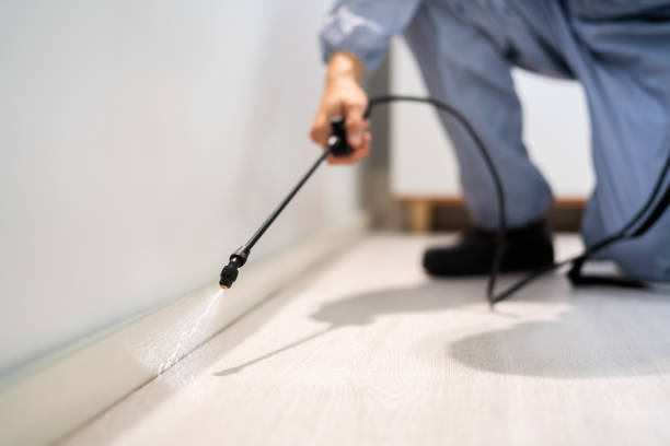 Licensed Termite Control service in Earlington, KY - Nex Pest Control