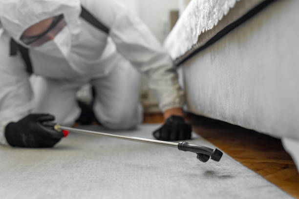 Professional Termite Control technician working in Earlington, KY