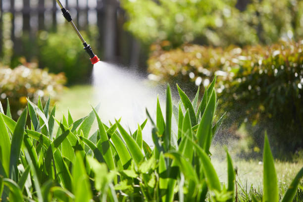 24/7 Emergency Termite Control experts in Earlington, KY