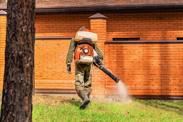 Top rated local Termite Control specialists in Earlington, KY